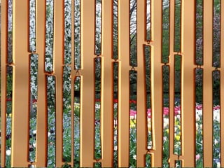 La alegría no significa euforia. La alegría es siempre una consecuencia, no es posible buscarla. La alegría no se encuentra en lo exterior. La alegría requiere cambiar dos actitudes: el estar únicamente vuelto hacia sí mismo y el apego a las emociones negativas y a las cosas. 