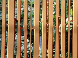 Al salir del cuarto, todos los días dirás, a ser posible en voz alta y decidida, estas palabras: “ Ahora comienzo a ser como Jesús.  Mi Señor, los que me ven, te vean;  los que me oyen, te oigan” Y saldrás dispuesto y resuelto a ser  y a actuar como Jesús, preguntándote en cada nueva situación: ¿Qué haría Jesús en mi lugar? No habrá derrota en tu camino. (TOV) 