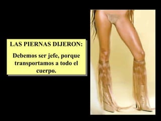 LAS PIERNAS DIJERON: Debemos ser jefe, porque transportamos a todo el cuerpo. 