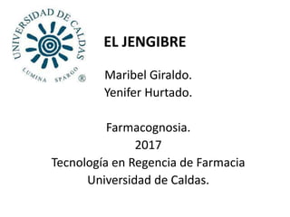 EL JENGIBRE
Maribel Giraldo.
Yenifer Hurtado.
Farmacognosia.
2017
Tecnología en Regencia de Farmacia
Universidad de Caldas.
 