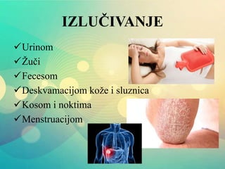 IZLUČIVANJE
Urinom
Žuči
Fecesom
Deskvamacijom kože i sluznica
Kosom i noktima
Menstruacijom
 
