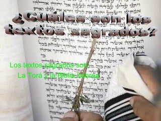 Los textos sagrados son: La Torá y la Biblia hebrea . ¿Cuáles son los textos sagrados? 