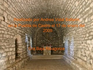 Realizado por Andrea Vidal Ballarin, en la Puebla de Castro el 17 de enero del 2009. Cra Baja Ribagorza 