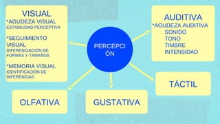 VISUAL                            AUDITIVA
*AGUDEZA VISUAL
ESTABILIDAD PERCEPTIVA               *AGUDEZA AUDITIVA
                                         SONIDO
*SEGUIMIENTO                             TONO
VISUAL                   PERCEPCI        TIMBRE
DIFERENCIACIÓN DE                        INTENSIDAD
FORMAS Y TAMAÑOS            ÓN

*MEMORIA VISUAL
IDENTIFICACIÓN DE
DIFERENCIAS

                                          TÁCTIL

     OLFATIVA            GUSTATIVA
 