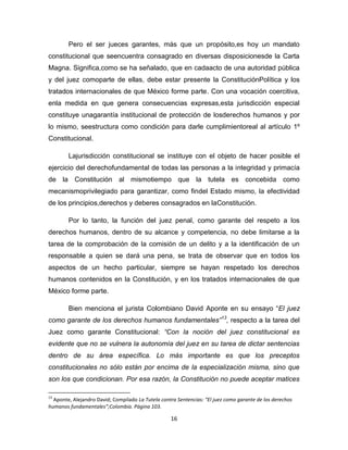 El juez como garante de la proteccion de los ddhh_IAFJSR | PDF
