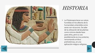 HISTORIA
• La Fitoterapia tiene sus raíces
hundidas en los albores de la
humanidad, entendida como
seres con raciocinio. Se sabe
de la utilización de las plantas
como mínimo desde hace
5000 años, pero su uso
posiblemente es muy anterior,
remontando a tribus
prehistóricas, en una
aplicación mágico-religiosa.
 