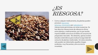 ¿ES
RIESGOSA?
• Como cualquier medicamento, las plantas pueden
provocar reacciones
adversas, intoxicación por sobredosis o
interacciones perniciosas con otras sustancias. Se
han descrito interacciones de relevancia clínica
entre plantas y medicamentos, por lo que resulta
imprescindible comunicar al médico el consumo de
preparados naturales. No obstante, apenas existen
estudios sistemáticos para evaluar la seguridad del
consumo de plantas medicinales. Sin estos estudios,
solo pueden ser detectados aquellos riesgos
evidentes, muy frecuentes y de ocurrencia
inmediata.
 