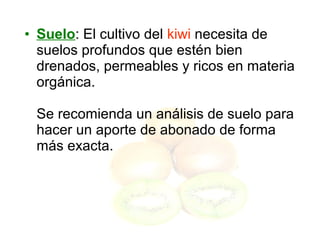 • Suelo: El cultivo del kiwi necesita de
suelos profundos que estén bien
drenados, permeables y ricos en materia
orgánica.
Se recomienda un análisis de suelo para
hacer un aporte de abonado de forma
más exacta.
 