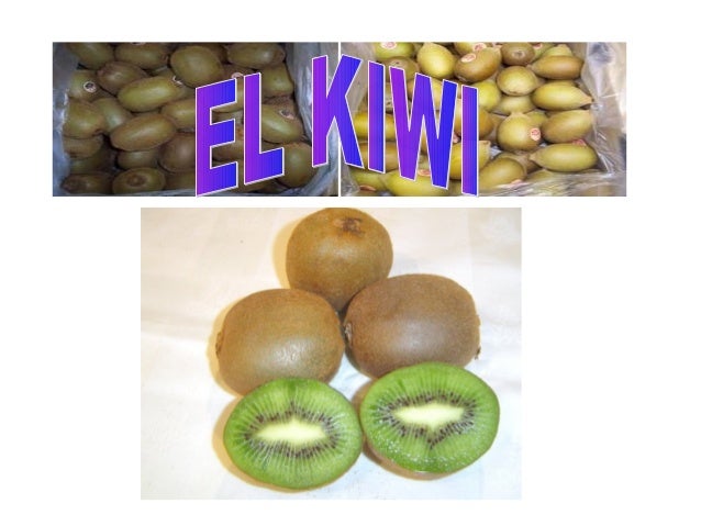El kiwi