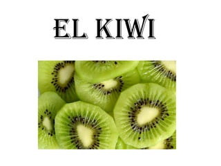EL KIWI
 