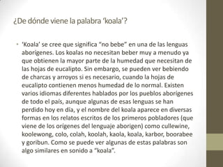 ¿Dedónde viene la palabra ‘koala’?
• ‘Koala’ se cree que significa “no bebe” en una de las lenguas
aborígenes. Los koalas no necesitan beber muy a menudo ya
que obtienen la mayor parte de la humedad que necesitan de
las hojas de eucalipto. Sin embargo, se pueden ver bebiendo
de charcas y arroyos si es necesario, cuando la hojas de
eucalipto contienen menos humedad de lo normal. Existen
varios idiomas diferentes hablados por los pueblos aborígenes
de todo el país, aunque algunas de esas lenguas se han
perdido hoy en día, y el nombre del koala aparece en diversas
formas en los relatos escritos de los primeros pobladores (que
viene de los orígenes del lenguaje aborigen) como cullewine,
koolewong, colo, colah, koolah, kaola, koala, karbor, boorabee
y goribun. Como se puede ver algunas de estas palabras son
algo similares en sonido a “koala”.
 