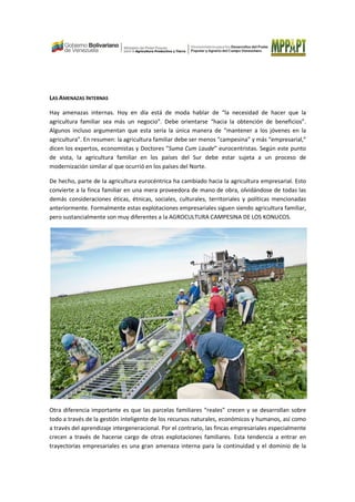 LAS AMENAZAS INTERNAS
Hay amenazas internas. Hoy en día está de moda hablar de “la necesidad de hacer que la
agricultura familiar sea más un negocio”. Debe orientarse “hacia la obtención de beneficios”.
Algunos incluso argumentan que esta sería la única manera de “mantener a los jóvenes en la
agricultura”. En resumen: la agricultura familiar debe ser menos “campesina” y más “empresarial,”
dicen los expertos, economistas y Doctores “Suma Cum Laude” eurocentristas. Según este punto
de vista, la agricultura familiar en los países del Sur debe estar sujeta a un proceso de
modernización similar al que ocurrió en los países del Norte.
De hecho, parte de la agricultura eurocéntrica ha cambiado hacia la agricultura empresarial. Esto
convierte a la finca familiar en una mera proveedora de mano de obra, olvidándose de todas las
demás consideraciones éticas, étnicas, sociales, culturales, territoriales y políticas mencionadas
anteriormente. Formalmente estas explotaciones empresariales siguen siendo agricultura familiar,
pero sustancialmente son muy diferentes a la AGROCULTURA CAMPESINA DE LOS KONUCOS.
Otra diferencia importante es que las parcelas familiares “reales” crecen y se desarrollan sobre
todo a través de la gestión inteligente de los recursos naturales, económicos y humanos, así como
a través del aprendizaje intergeneracional. Por el contrario, las fincas empresariales especialmente
crecen a través de hacerse cargo de otras explotaciones familiares. Esta tendencia a entrar en
trayectorias empresariales es una gran amenaza interna para la continuidad y el dominio de la
 