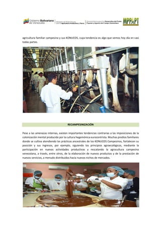 agricultura familiar campesina y sus KONUCOS, cuya tendencia es algo que vemos hoy día en casi
todas partes.
RECAMPESINIZACIÓN
Pese a las amenazas internas, existen importantes tendencias contrarias a las imposiciones de la
colonización mental producida por la cultura hegemónica eurocentrista. Muchas predios familiares
donde se cultiva atendiendo las prácticas ancestrales de los KONUCOS Campesinos, fortalecen su
posición y sus ingresos, por ejemplo, siguiendo los principios agroecológicos, mediante la
participación en nuevas actividades productivas y rescatando la agrocultura campesina
venezolana, a través, entre otros, de la elaboración de nuevos productos y de la prestación de
nuevos servicios, a menudo distribuidos hacia nuevos nichos de mercados.
 