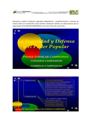 Resistencia, cuando la soberanía, seguridad, independencia, autodeterminación e intereses de
nuestra Patria así lo demanden. Estos Comités constituyen también, las células básicas para la
organización de las MILICIAS CAMPESINAS en las zonas rurales de nuestro País.
La Seguridad y Defensa
y el Poder Popular
CONSEJOS CAMPESINOS
COMUNAS CAMPESINAS
PODER POPULAR CAMPESINO:
Unidad de Seguridad Integral del CONSEJO CAMPESINO
Atribuciones
Organización
CCTSDOI Coordinar Adiestramiento
Recomendar Puntos de Resistencia
Recomendar Ciudadanos (as)
Realizar inspecciones/Reconocimientos
Promover Comites Seguridad y Defensa
Coordinación General
Coordinación Pers. Y Log.
Coordinación Inteligencia
Coordinación Operaciones
Participar en Diagnóstico comunitario
Promover participación Cddna. en la SDI
Integrar Consejos C. a la Moviliz. Militar
Capacitación Comunitaria en Prevención
SDI = Seguridad y Defensa Integral
COMITE COMUNITARIO PARA SEGURIDAD, DEFENSA Y ORDEN INTERNO
 