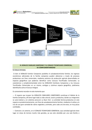 PASO 1
• TERRITORIO
• MAPA O CROQUIS
PASO2
• CENSO
• POBLACIONAL
PASO 3
• COMITES
• EN ÁREAS
PROBLEMATICAS
CON PRIORIDAD
EN LA
COMUNIDAD
EL KONUCO FAMILIAR CAMPESINO Y EL CONUCO TECNIFICADO COMERCIAL,
SU COMPLEMENTARIEDAD
EL CONUCO INTEGRAL
Si bien el KONUCO Familiar Campesino posibilita el autoabastecimiento familiar, los ingresos
económicos adicionales de la familia campesina pueden obtenerse a través de procesos
productivos con fines comerciales, mediante prácticas de producción agrícola desarrolladas en
espacios geográficos que podemos identificar como Conucos Tecnificados Comerciales. La
coexistencia y complementariedad entre los KONUCOS Familiares Campesinos y los Conucos
Tecnificados Comerciales en un mismo, contiguo y continuo espacio geográfico, podríamos
identificarlo como el Conuco Integral.
Es conveniente recordar en este momento que:
--- El espacio que ocupan los KONUCOS FAMILIARES CAMPESINOS constituye el hábitat de la
Familia Campesina, allí tiene lugar toda su vida cultural, social y productiva, donde sus integrantes
se auto-realizan y en colectivo procuran su Buen Vivir. La actividad técnico-productiva en este
espacio es predominantemente, con fines de autoabastecimiento familiar, mediante el cultivo y la
cría de una gran variedad de rubros vegetales y animales, pero cada uno de estos, en muy pocas
cantidades.
--- Contrario a lo anterior, en el CONUCO TECNIFICADO COMERCIAL cuya actividad agrícola tiene
lugar en áreas de terreno mucho más grandes, ya sea este atendido por una sola familia o
 