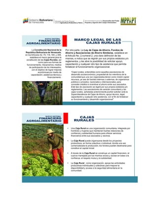 MARCO LEGAL DE LAS
CAJAS RURALES
NUEVO SISTEMA
FINANCIERO
AGROALIMENTARIO
La Constitución Nacional de la
República Bolivariana de Venezuela,
en los Artículos 52, 70, 118, 184, y 308,
establece el marco general para la
constitución de las Cajas Rurales, así
como para sus formas de
funcionamiento, mecanismos, medios
de participación de los interesados,
con el objetivo de lograr mejoras
económicas por medio de
capacitación, asistencia técnica y
financiamiento.
Por otra parte, La Ley de Cajas de Ahorro, Fondos de
Ahorro y Asociaciones de Ahorro Similares, establece en
el Articulo No. 2,numeral 2, una clara definición de las
mismas, e indica que se regirán por sus propios estatutos y/o
reglamentos, y les abre la posibilidad de solicitar apoyo,
capacitación y cualquier otro tipo de asistencia que permita
fortalecer el funcionamiento organizacional.
“Cajas rurales, entendidas como aquellas asociaciones de
desarrollo socioeconómico, propiedad de los miembros de la
comunidad que una vez organizadas tienen como misión captar
recursos, ya sea de fuentes internas o externas, de organismos
públicos o privados, nacionales o internacionales, para
conceder créditos e incentivar el ahorro entre sus asociados.
Este tipo de asociación se regirá por sus propios estatutos y/o
reglamentos. Las asociaciones de carácter comunitario y las
cajas rurales, señaladas anteriormente podrán solicitar ante la
Superintendencia de Cajas de Ahorro, apoyo técnico, legal,
capacitación y cualquier otra asistencia, con el fin de fortalecer
su funcionamiento y desarrollo organizacional”.
CAJAS
RURALES
NUEVO SISTEMA
FINANCIERO
AGROALIMENTARIO
• Una Caja Rural es una organización comunitaria, integrada por
hombres y mujeres que mantienen fuertes relaciones de
confianza y solidaridad humana para ofrecer servicios
financieros entre sus asociados y vecinos.
• La Caja Rural puede organizarse desde los proyectos
productivos, en forma colectiva o individual, donde una vez
comercializada la producción, los fondos pueden destinarse para
constituir el capital inicial.
• A través de la Caja Rural se construye un capital financiero, el
cual es manejado por los mismos socios y socias en base a la
confianza, el respeto mutuo y la solidaridad.
• La Caja Rural , como organización, apoya las actividades
productivas individuales y colectivas para mejorar la
disponibilidad y acceso a la seguridad alimentaria en la
comunidad.
 