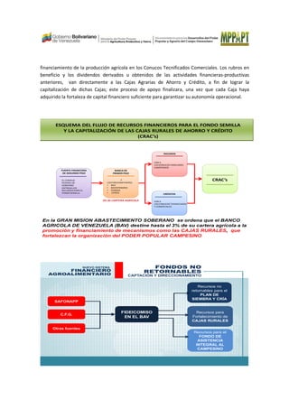 financiamiento de la producción agrícola en los Conucos Tecnificados Comerciales. Los rubros en
beneficio y los dividendos derivados u obtenidos de las actividades financieras-productivas
anteriores, van directamente a las Cajas Agrarias de Ahorro y Crédito, a fin de lograr la
capitalización de dichas Cajas; este proceso de apoyo finalizara, una vez que cada Caja haya
adquirido la fortaleza de capital financiero suficiente para garantizar su autonomía operacional.
FUENTE FINANCIERA
DE SEGUNDO PISO
BANCA DE
PRIMER PISO
INSUMOS
CRÉDITOS
CRAC’sEL CONSEJO
FEDERAL DE
GOBIERNO
ENTREGA LOS
RECURSOS PARA EL
FONDO SEMILLA
Y
LOS FIDEICOMITANTES:
• BAV
• BICENTENARIO
• FONDAS
• OTROS
VAN A
LOS KONUCOS FAMILIARES
CAMPESINOS
VAN A
LOS CONUCOS TECNIFICADOS
Y COMERCIALES
ESQUEMA DEL FLUJO DE RECURSOS FINANCIEROS PARA EL FONDO SEMILLA
Y LA CAPITALIZACIÓN DE LAS CAJAS RURALES DE AHORRO Y CRÉDITO
(CRAC’s)
En la GRAN MISION ABASTECIMIENTO SOBERANO se ordena que el BANCO
AGRICOLA DE VENEZUELA (BAV) destine hasta el 3% de su cartera agrícola a la
promoción y financiamiento de mecanismos como las CAJAS RURALES, que
fortalezcan la organización del PODER POPULAR CAMPESINO
3% de CARTERA AGRICOLA
Recursos no
retornables para el
PLAN DE
SIEMBRA Y CRÍA
Recursos para
Fortalecimiento de
CAJAS RURALES
Recursos para el
FONDO DE
ASISTENCIA
INTEGRAL AL
CAMPESINO
FONDOS NO
RETORNABLES
CAPTACIÓN Y DIRECCIONAMIENTO
NUEVO SISTEMA
FINANCIERO
AGROALIMENTARIO
SAFONAPP
C.F.G.
FIDEICOMISO
EN EL BAV
Otras fuentes
 