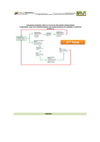 ESQUEMA GENERAL PARA EL FLUJO DE RECURSOS FINANCIEROS
E INSUMOS, UNA VEZ CONSOLIDADAS LAS CAJAS RURALES DE AHORRO Y CRÉDITO
(CRASC’s)
CAJA RURAL DE
AHORRO Y CRÉDITO
Se capitaliza y capta
nuevos beneficiarios
CAJA RURAL DE AHORRO Y
CRÉDITO
Paga a proveedores de
insumos de Familias
Campesinas Konukeras
CAJA RURAL DE
AHORRO Y CRÉDITO
Otorga créditos a
campesinos
conuqueros
comerciales
CONUQUERO
COMERCIAL
Paga el crédito
recibido
CAJA RURAL DE
AHORRO Y CRÉDITO
Recibe pago de los
créditosotorgados a
conuqueros
comerciales
PROVEEDOR
Entrega insumos al
MPPAPT
MPPAPT
Entrega insumos a
Familias Campesinas
Konukeras
Familia Campesina
Konuquera
Una vez aprovechado y
reproducido el insumo
recibido , entrega el
doble del insumo
original a la CRAC
CRAC
Recibe insumos de
Familias Campesinas
Konukeras, los asigna al
MPPAPT
2da Fase
ANEXOS:
 