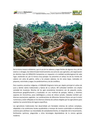 De la misma manera señalamos, que el uso de las sabanas y vegas fértiles de algunos ríos y de los
esteros o ciénagas, han determinado históricamente una serie de usos agrícolas y de organización
de distintos tipos de KONUCOS Campesinos en respuesta a la realidad sociobioregional de cada
lugar, existiendo así, por lo menos cinco paisajes: los presentes en selvas; los de los montes de
sabana con selva de galería, caños y las propias sabanas; los de zonas bajas, realizados en
playones, morichales y vegas; los piedemontinos y los de cordillera.
Para nuestros ancestros indígenas, el KONUKO Originario tenía por objeto principal el cultivo de
yuca y demás rubros tradicionales y típicos de su cultura. Allí cultivaban también una amplia
variedad de musáceas. Muchos de los agro ecosistemas konukeros son de pequeña escala,
discontinuos geográficamente y localizados en una multitud de paisajes, laderas, y distintos
aspectos de microclimas, pisos edafológicos y zonas de relieve variado, rodeados también por
diversas asociaciones vegetales. Las combinaciones de diferentes factores físicos son por lo tanto
numerosas y están reflejadas en los diversos sistemas de cultivos elegidos por los agricultores para
explotar las características de lugares específicos.
Los agricultores tradicionales han desarrollado y/o heredado sistemas de cultivos complejos,
adaptados a las condiciones locales ayudándolos a manejar de manera sustentable en ambientes
austeros para satisfacer sus necesidades de autoabastecimiento, sin depender de la mecanización,
fertilizantes químicos, plaguicidas u otras tecnologías depredadoras de la ciencia agrícola
moderna.
 