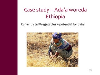 Value chains, innovation systems and action research:  From principles to practice 