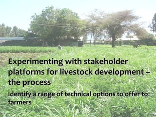 Value chains, innovation systems and action research:  From principles to practice 