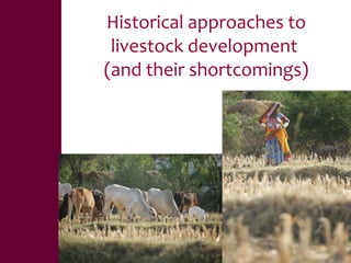 Value chains, innovation systems and action research:  From principles to practice 