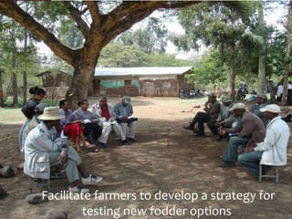 Value chains, innovation systems and action research:  From principles to practice 