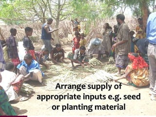 Value chains, innovation systems and action research:  From principles to practice 