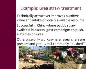 Value chains, innovation systems and action research:  From principles to practice 