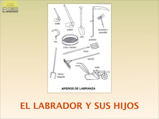EL LABRADOR Y SUS HIJOS
IMAGEN: ULEILACLARA
ÁLVAREZ
 