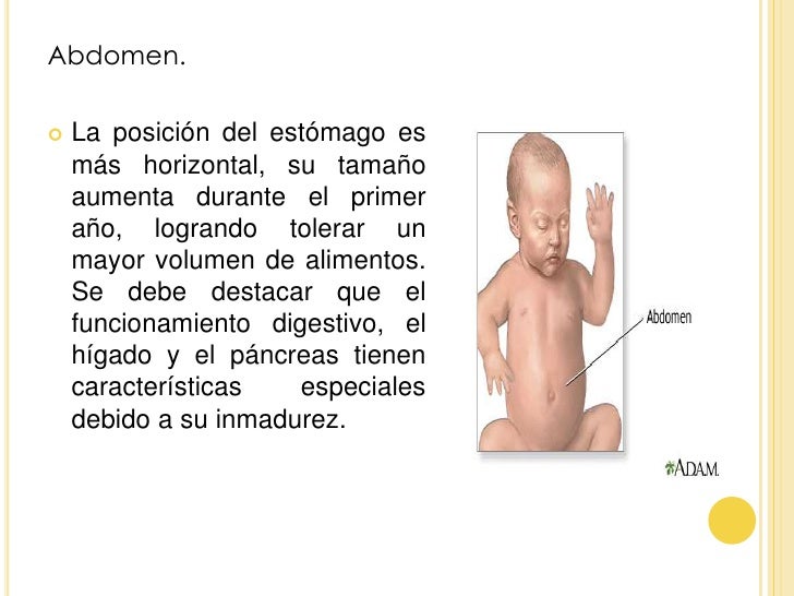 Porno los rodillos de la rubia con un pequeño pecho