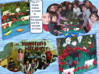 The 2nd
Grade
makes
a model
to
present
the plants
and the
animals
of Chios
 