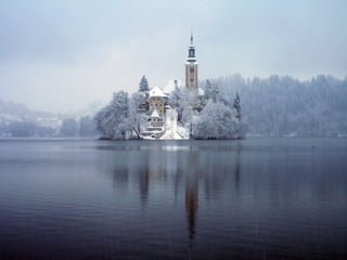 El lago bled, Luis Velasquez