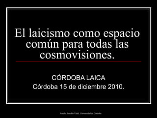 El laicismo como espacio común para todas las cosmovisiones. CÓRDOBA LAICA Córdoba 15 de diciembre 2010. 