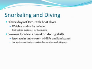 Snorkeling and DivingThree days of two-tank boat divesWeights and tanks include Instructors available for beginnersVarious locations based on diving skills Spectacular underwater wildlife and landscapesSee squids, sea turtles, snakes, barracudas, and stingrays
