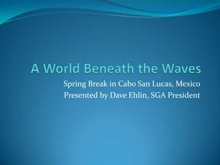 A World Beneath the Waves Spring Break in Cabo San Lucas, Mexico             Presented by Dave Ehlin, SGA President 