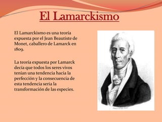 El LamarckismoEl Lamarckismo es una teoría expuesta por el Jean Beautiste de Monet, caballero de Lamarck en 1809.La teoría expuesta por Lamarck decía que todos los seres vivos tenían una tendencia hacia la perfección y la consecuencia de esta tendencia seria la transformación de las especies.