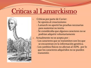 Los órganos se atrofian o se desarrollan según la necesidad.