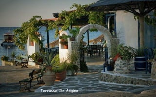 Terrasse Ile Aegina
 