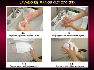 LAVADO DE MANOS CLÍNICO (II) Prof. Dr. Luis del Rio Diez 