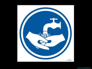 Prof. Dr. Luis del Rio Diez 