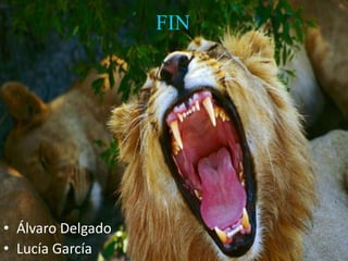 FIN
• Álvaro Delgado
• Lucía García
 
