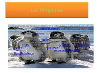 Los Pingüinos
Los primeros europeos en observar a estas aves fueron miembros de la
primera expedición de Vasco da Gama,1 que les llamaron pájaros
niño o pájaros bobos por su andar torpe y erguido y al ser un ave
incapaz de volar.[cita requerida] Años más tarde, cuando los primeros
británicos vieron a estos animales, les
llamaron penguins (delgalés penwyn, pen = 'cabeza' y qwyn =
'blanca'), que era el nombre que daban a algunas especies de la
familia Acidae, como al alca gigante del Atlántico norte (Pinguinus
impennis),1 y al alca común (Alca torda).2 Sin embargo y pese a las
aparentes similitudes resultado de la convergencia evolutiva, las alcas
del Hemisferio Norte no están relacionadas con los Spheniscidae. Con el
paso del tiempo, ha ido imponiéndose aplicar el apelativo «pingüino»
solo a los miembros de la familia Spheniscidae.
 