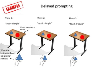 Phase 1:
“touch triangle”
Phase 2:
“touch triangle”
Phase 3:
“touch triangle”
What is presented to
learner
Delayed prompting
What the
instructor holds
up (prompt
stimuli)
 