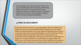 No se trata de un gen exclusivo del ser humano, sino
que es probable que exista en todos los vertebrados y,
además, de una forma muy parecida. En lo que
respecta al cerebro, se expresa en ellos en las mismas
áreas que en el hombre: núcleos basales, cerebelo,
tálamo y córtex o regiones equivalentes.

¿CÓMO SE DESCUBRIÓ?
El descubrimiento fue obra de un grupo de genética del Centro Wellcome de
Genética Humana de la Universidad de Oxford, liderados por Simon Fisher.
Habían sido alertados desde una escuela inglesa de logoterapia acerca de que
un grupo de niños de la misma familia (llamada, convencionalmente, KE) que
presentaban determinados defectos del habla y del lenguaje que se
remontaban hasta los bisabuelos. Dado que los trastornos se manifestaban en
bloque, y no en grados diferentes, se entendió que su origen estaba en el
defecto de un único alelo. El grupo de Simon Fisher identificó una mutación en
un segmento del cromosoma 7, en el lugar donde se encuentra el gen FoxP2.

 