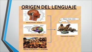 ORIGEN DEL LENGUAJE

 