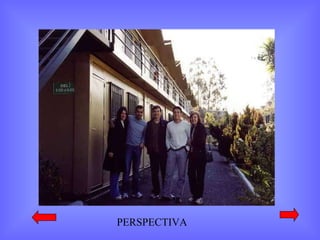 PERSPECTIVA 