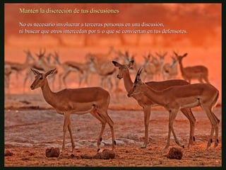 Mantén la discreción de tus discusionesMantén la discreción de tus discusiones
No es necesario involucrar a terceras personas en una discusión,No es necesario involucrar a terceras personas en una discusión,
ni buscar que otros intercedan por ti o que se conviertan en tus defensores.ni buscar que otros intercedan por ti o que se conviertan en tus defensores.
 