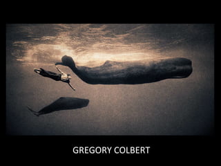 GREGORY COLBERT
 
