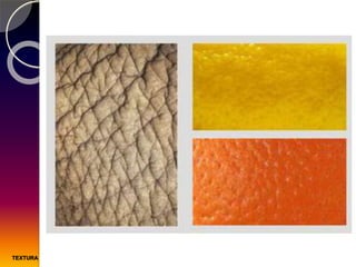 TEXTURA
 